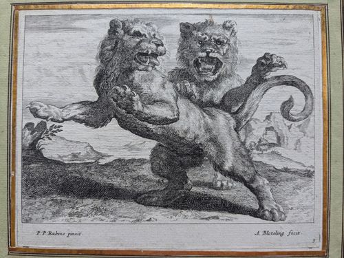 Study of lions — Abraham Blooteling