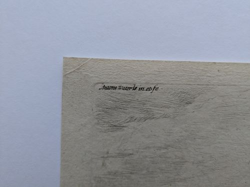 Plate Sig.