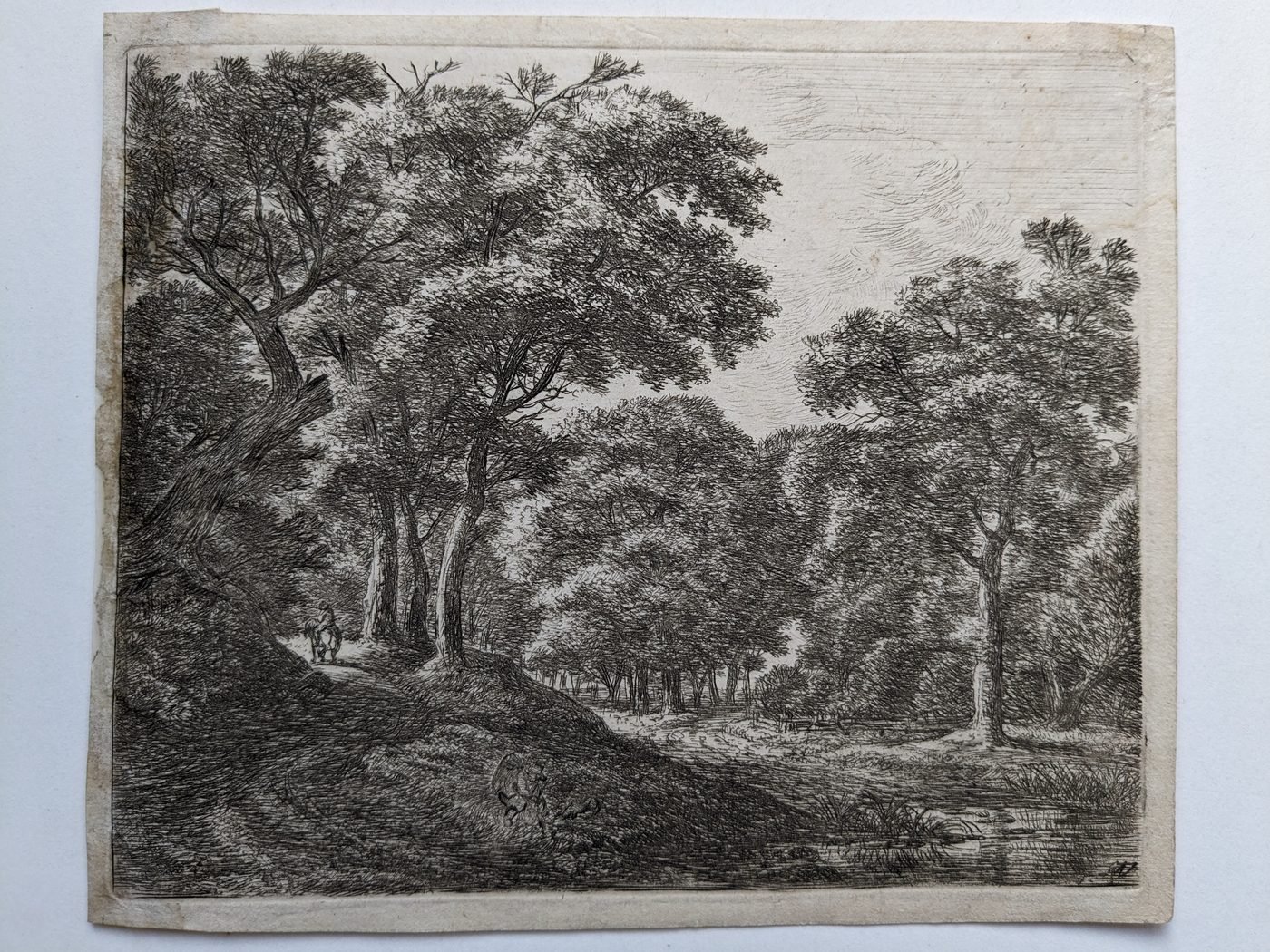 “Twilight in the Woods”