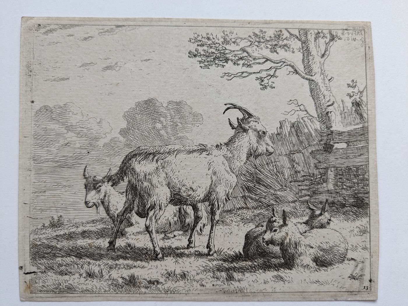 Four goats…