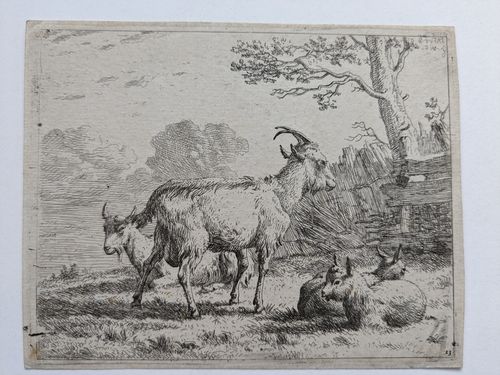 Four goats… — Carel Dujardin