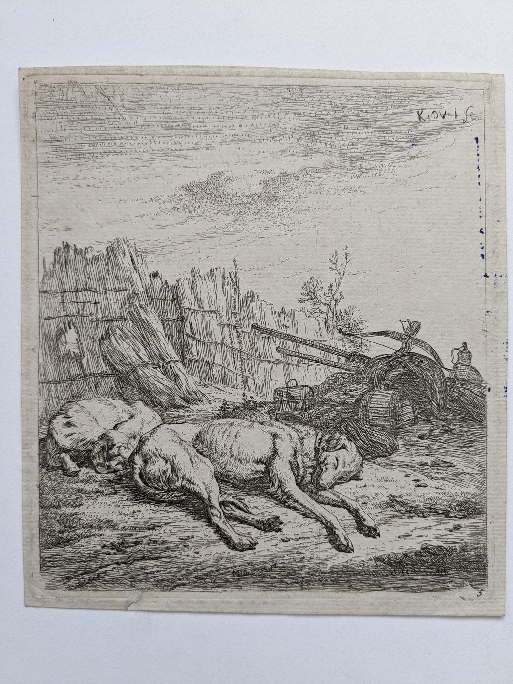 Two dogs sleeping on the ground…