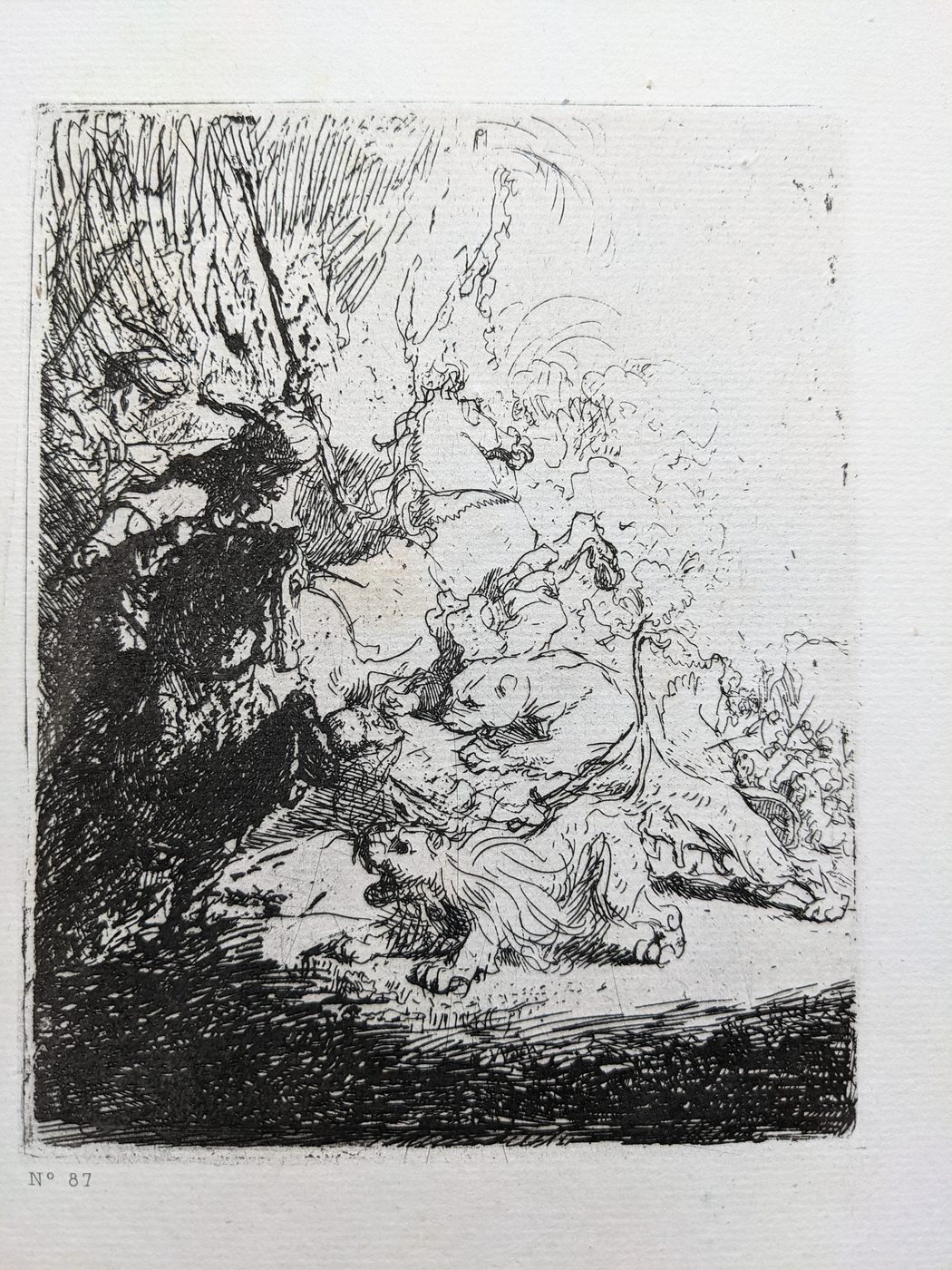 The small lion hunt, with two lions