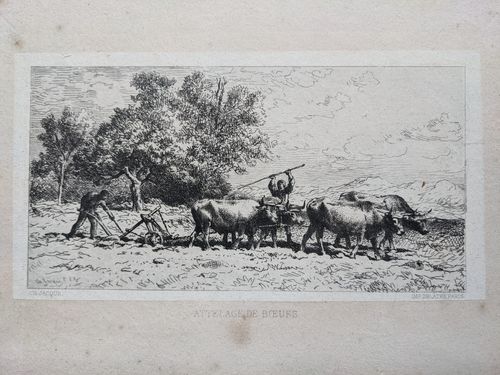 Attelage de Bœufs — Charles Jacque
