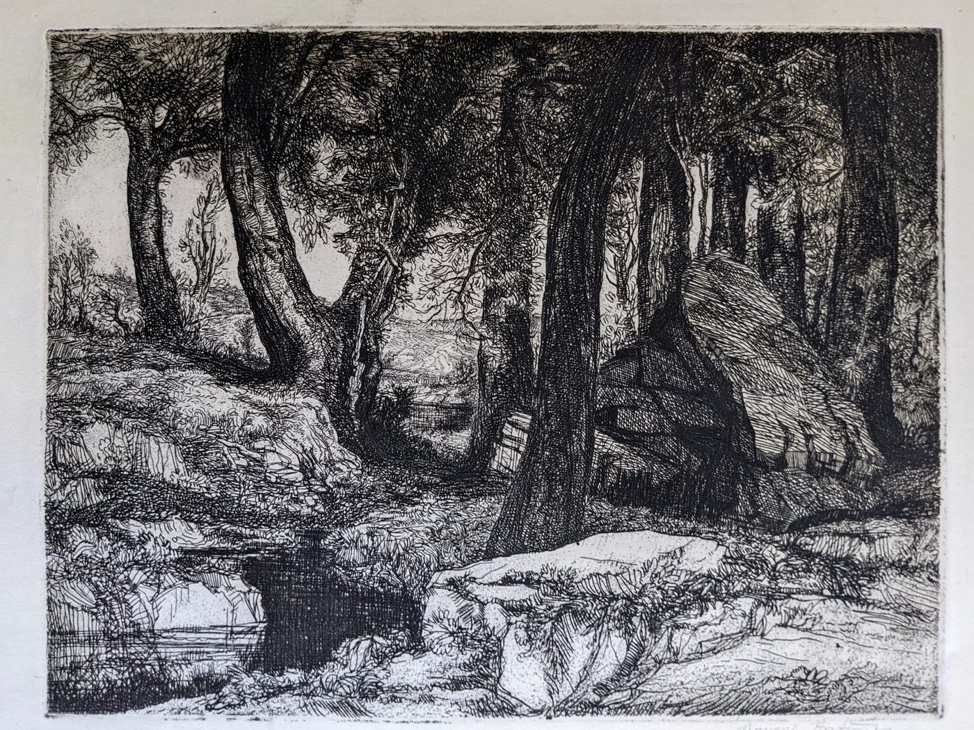 “The Lyn Valley”