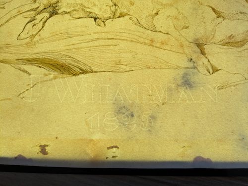 Watermark