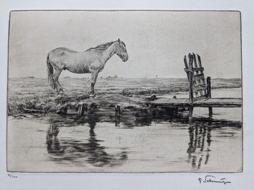 Pferde aüf der Hiede — Ferdinand Schmutzer