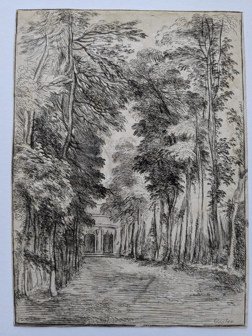 Avenue of Trees