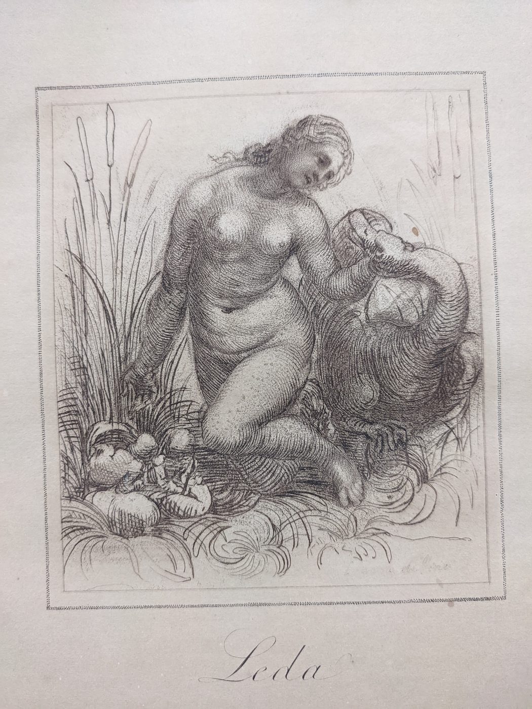 “Leda”