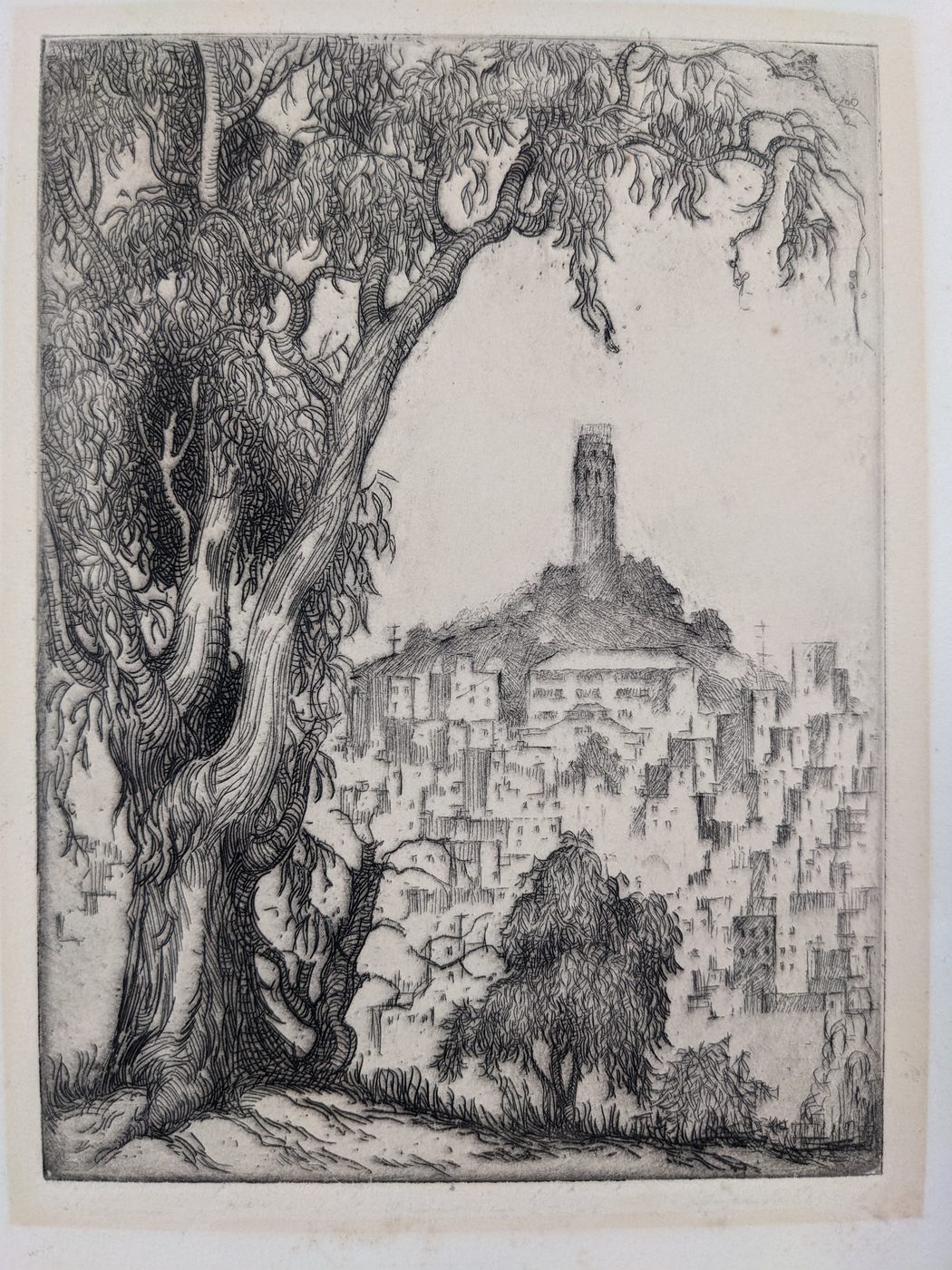 Telegraph Hill from Russian Hill”