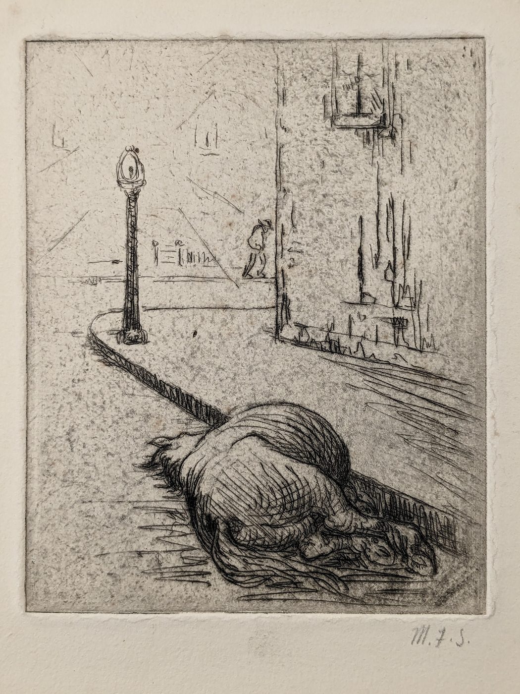 Dead Horse in Street