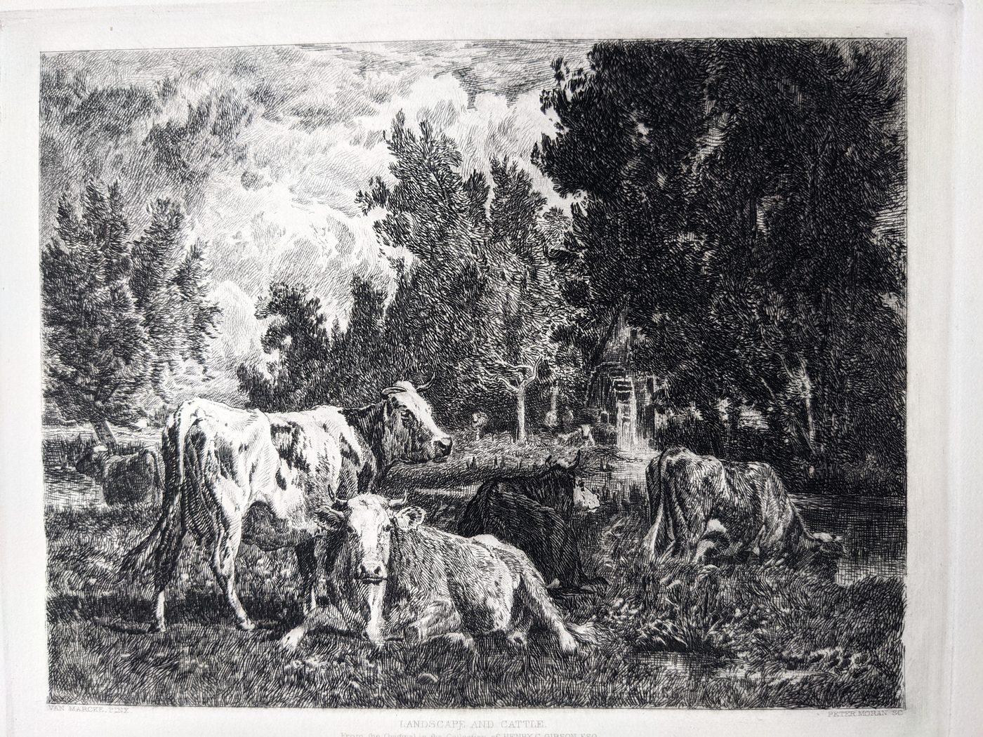 Landscape with Cattle