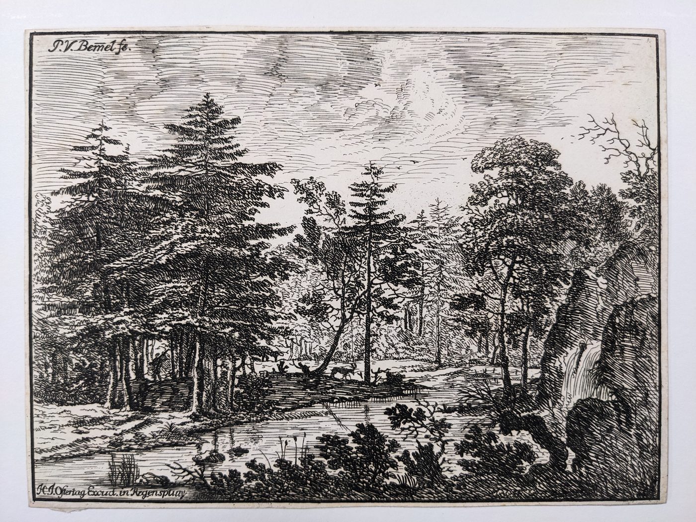 Landscape with a stream running through a forest