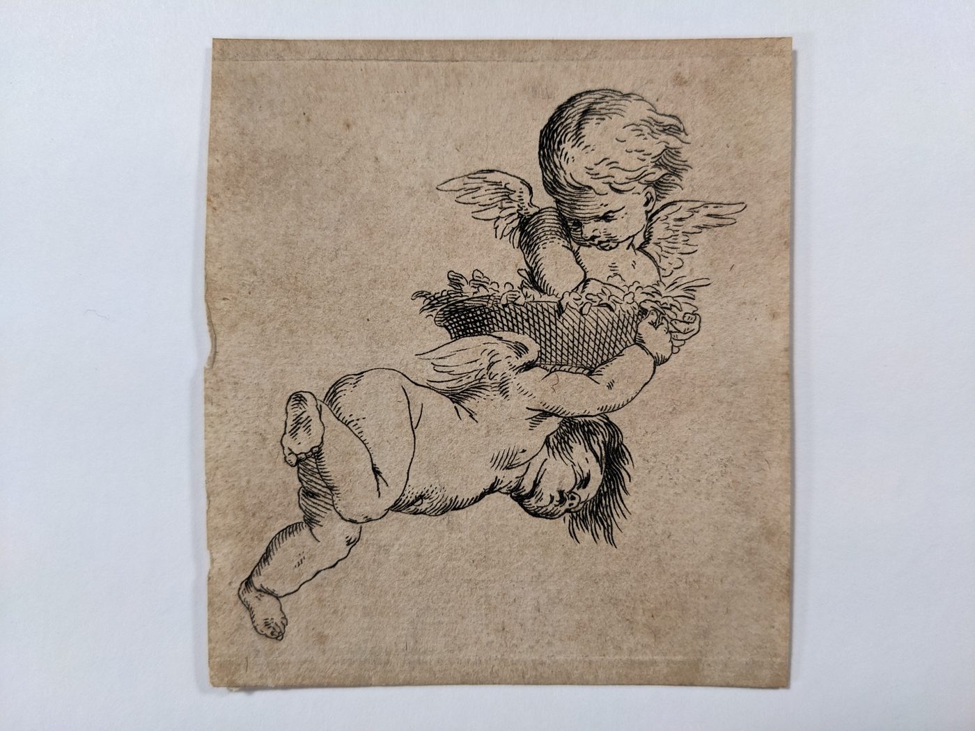 Putti with a basket