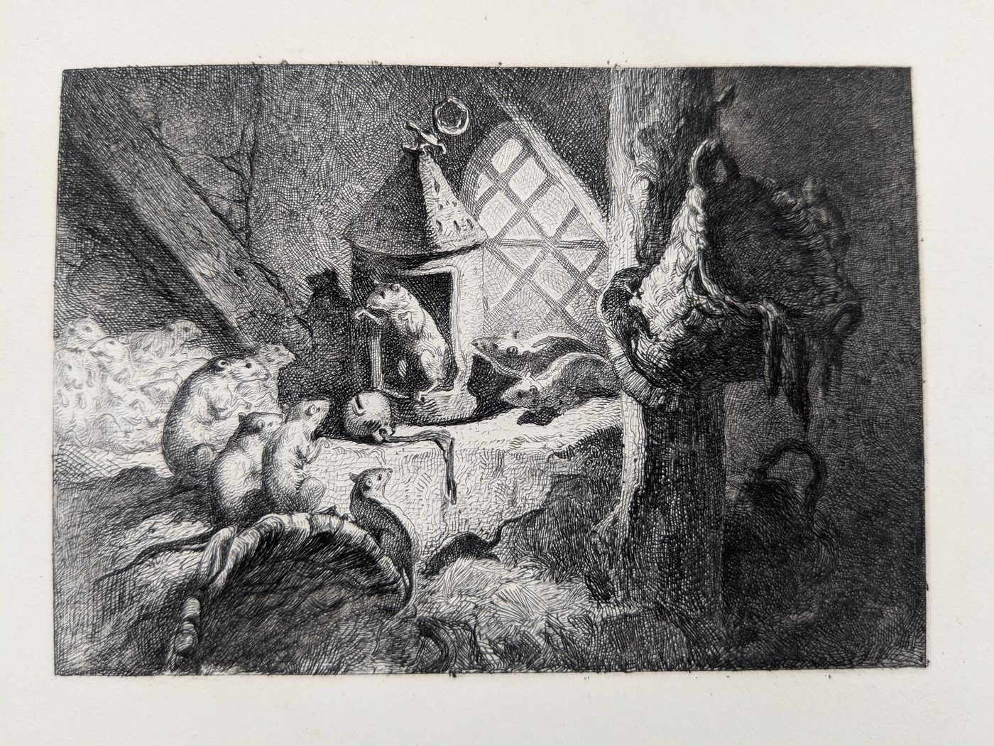 Rats in a lantern
