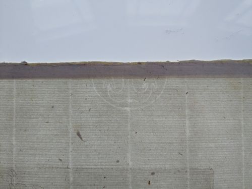 Watermark