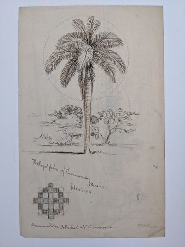 The Royal Palms of Cuernavaca, Mexico  Volanic Lines of Malinci — Samuel Colman