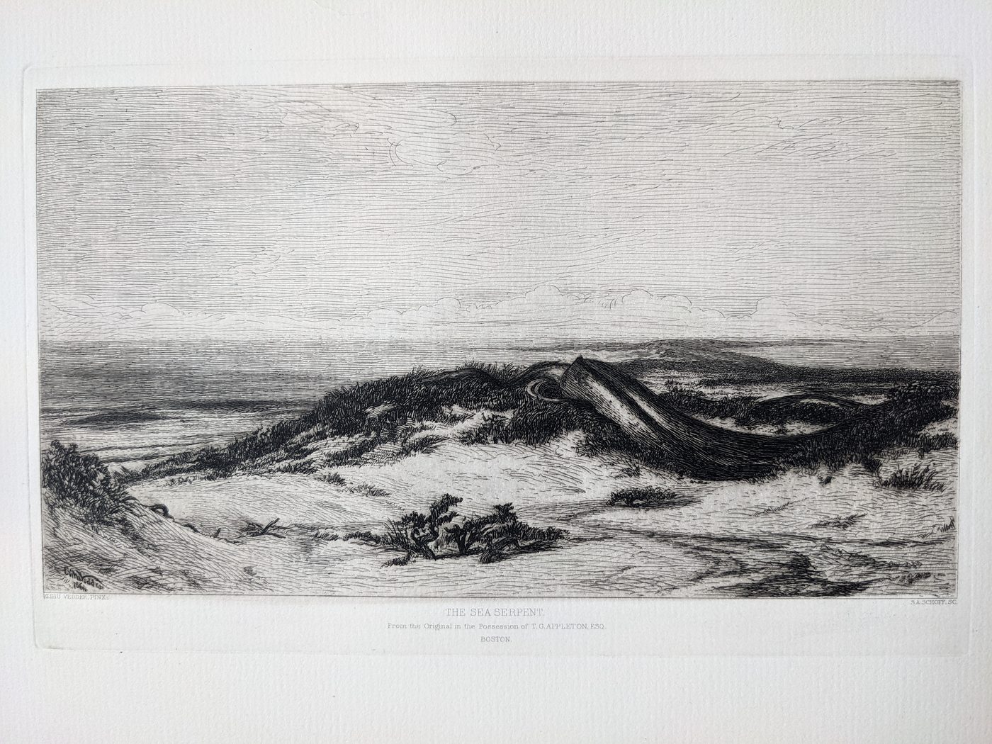 The Sea Serpent