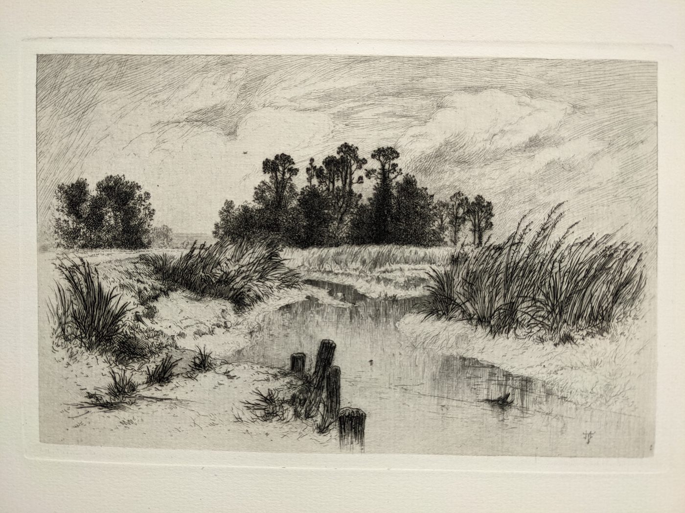 Passaic Meadows (In the Newark Meadows)
