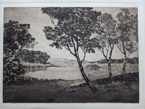 Trees by a lake — Unknown
